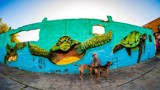 Thumbnail for Image 6