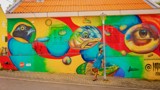 Thumbnail for Image 6