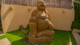 Thumbnail for Image 5