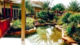 Thumbnail for Image 2