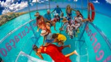 Thumbnail for Image 5