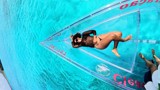 Thumbnail for Image 3