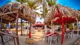 Thumbnail for Image 2