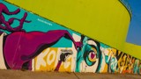 Thumbnail for Image 4