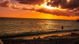Thumbnail for Image 4